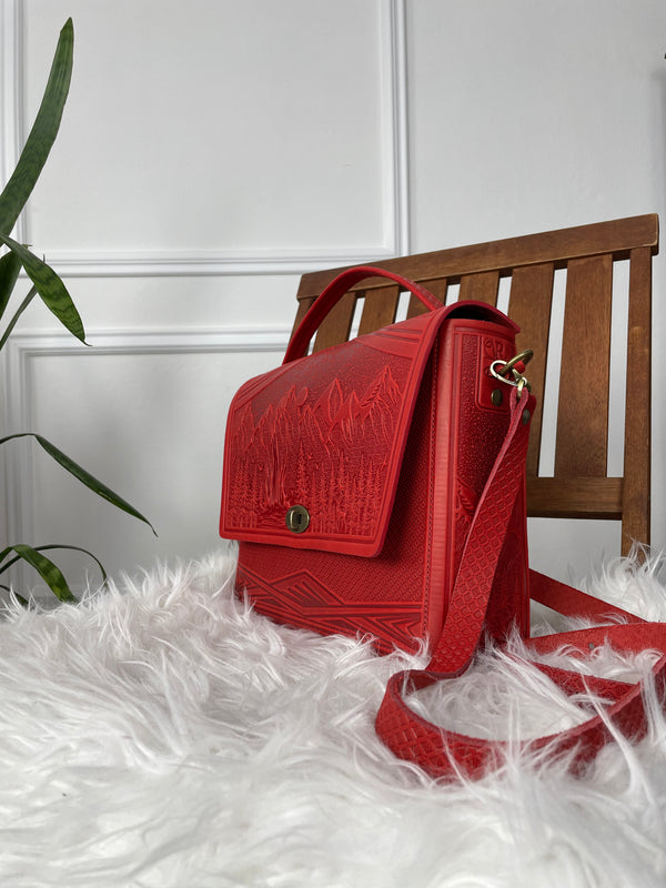 Red Leather Bag